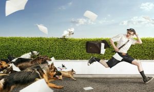 Nằm mơ thấy chó đuổi cắn là giấc mơ về sự bế tắc trong cuộc sống