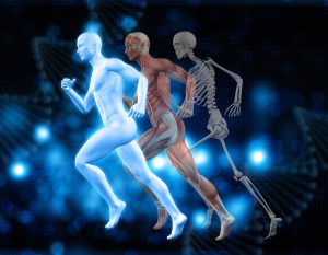Nằm mơ thấy nói chuyện với xương cốt thể hiện mối quan hệ của bạn đang gặp vấn đề