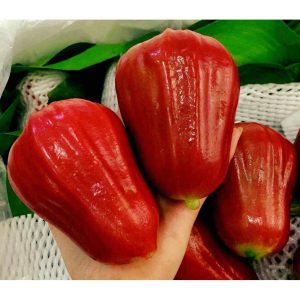 Nằm mơ thấy quả mận có ý nghĩa gì